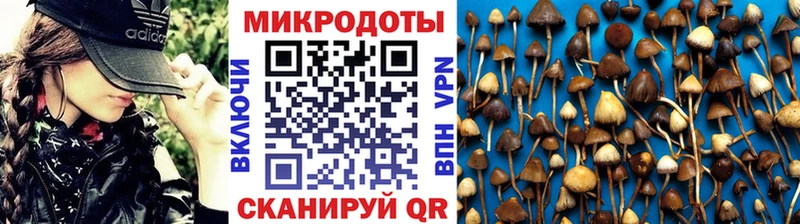 Галлюциногенные грибы Cubensis  купить  сайты  Котельники 